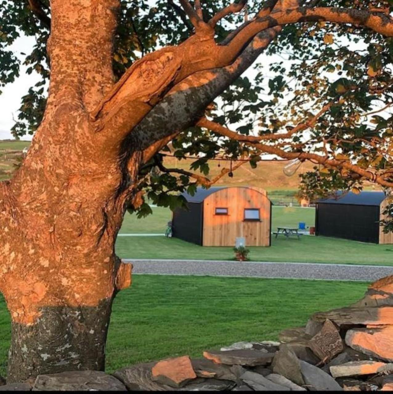 Castledarcy Glamping Daire Lahinch Dış mekan fotoğraf